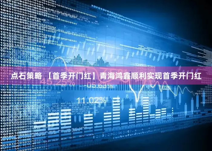 点石策略 【首季开门红】青海鸿鑫顺利实现首季开门红