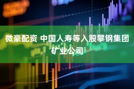微豪配资 中国人寿等入股攀钢集团矿业公司
