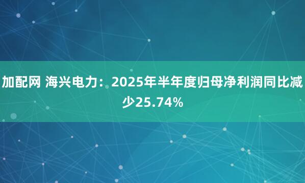 加配网 海兴电力：2025年半年度归母净利润同比减少25.74%