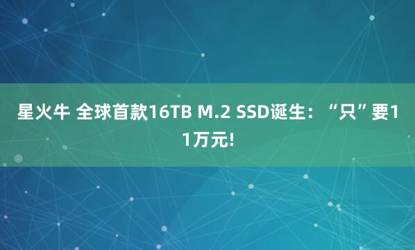 星火牛 全球首款16TB M.2 SSD诞生：“只”要11万元!